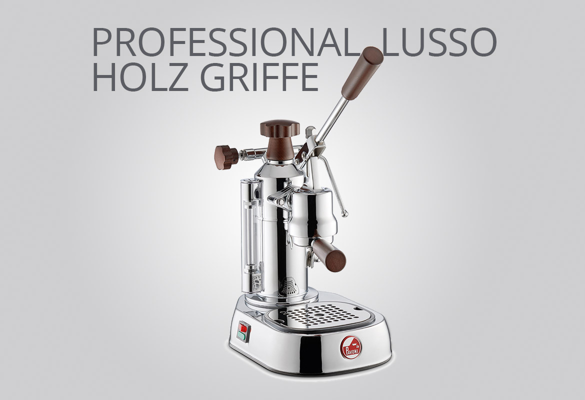 PROFESSIONAL LUSSO HOLZ GRIFFE